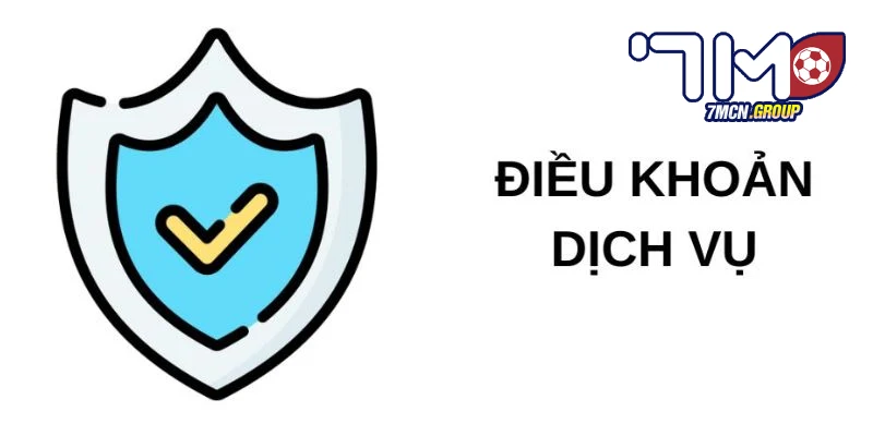 Điều khoản về số lượng tài khoản được đăng ký